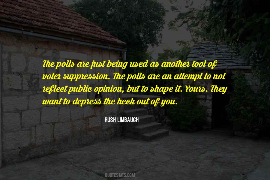 Quotes About Opinion Polls #963408