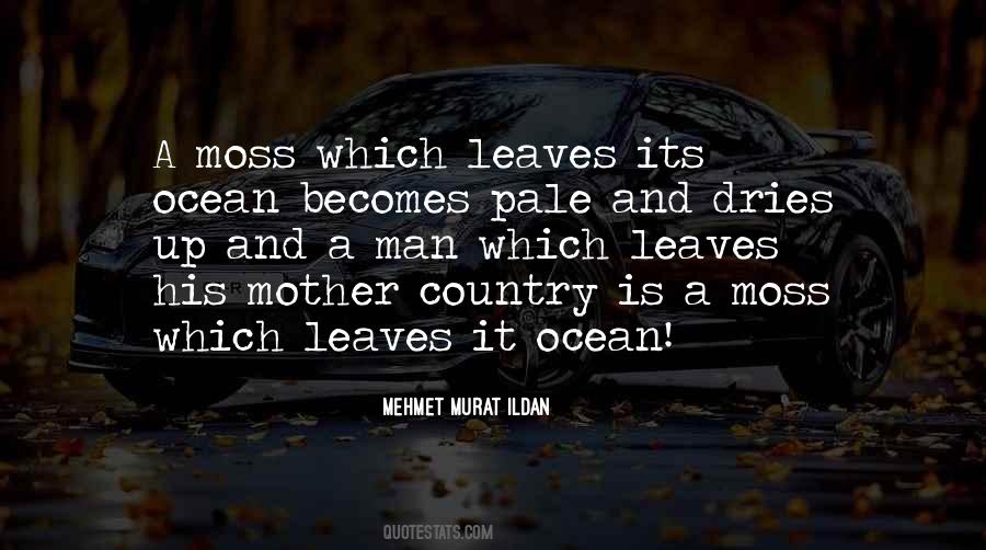 Messerschmidt Quotes #1639997