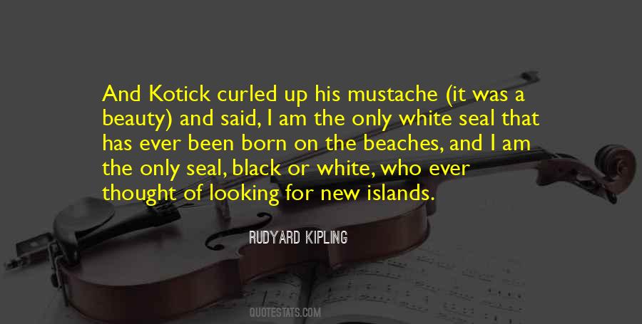 Quotes About Black And White Beauty #379751