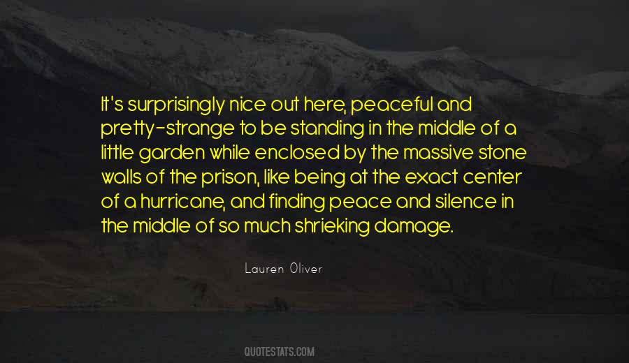 Finding Peace Within Yourself Quotes #223113