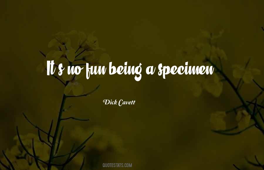 No Fun Quotes #1070389