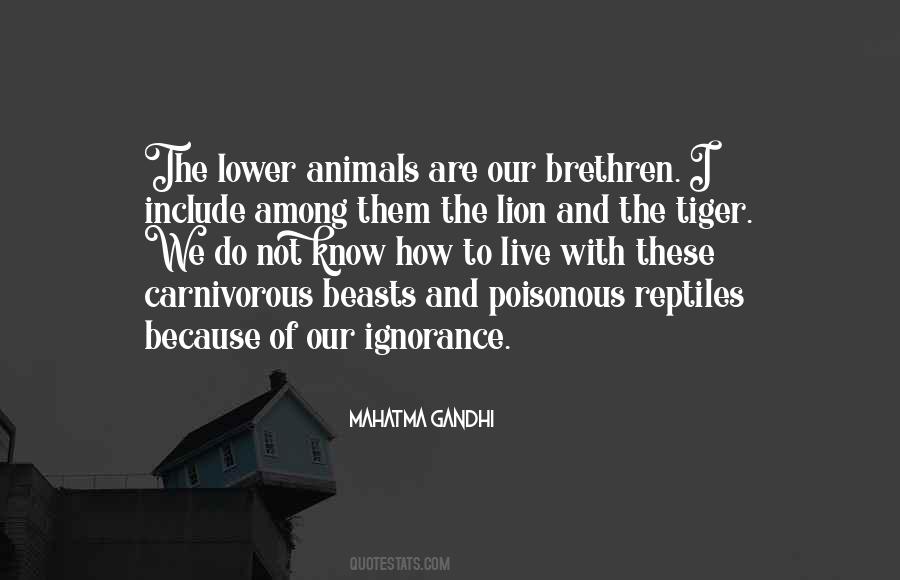 Quotes About Animals Gandhi #1564563