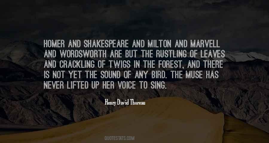 You Are My Muse Quotes #22520