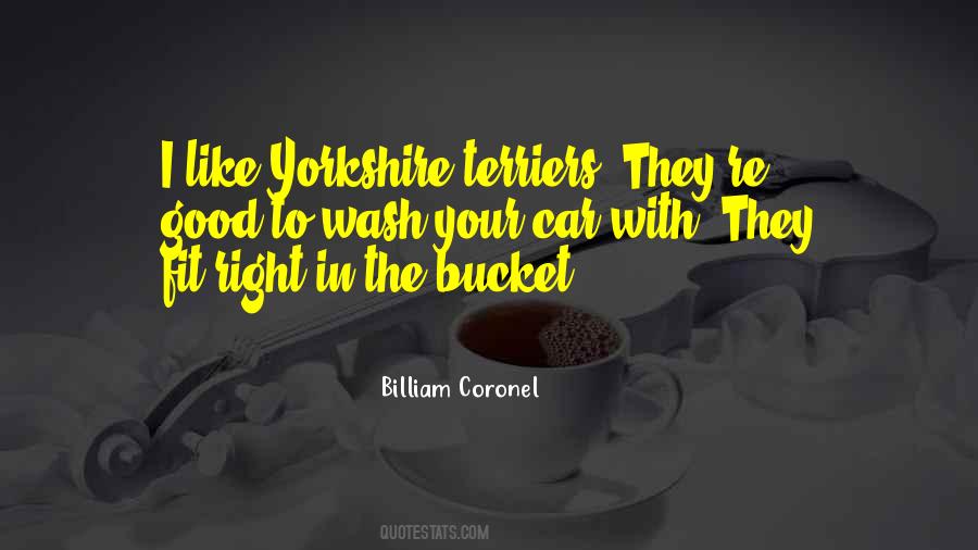 Quotes About Buckets #262255