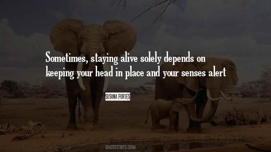 Your Senses Quotes #262324