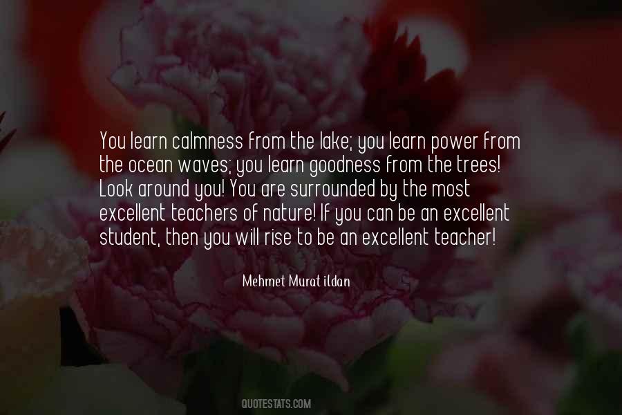 Quotes About An Excellent Teacher #612692