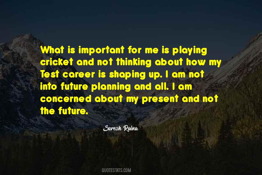 Playing Cricket Quotes #619282