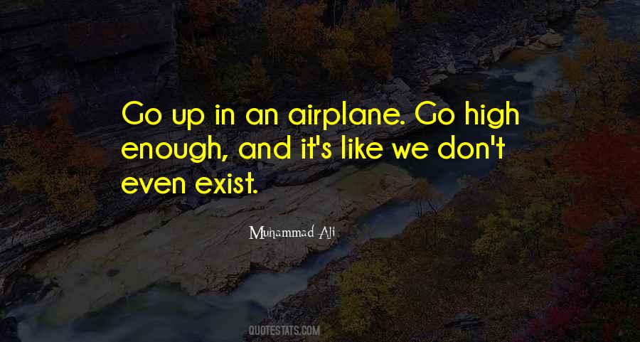 Celebrate Your Successes Quotes #46269