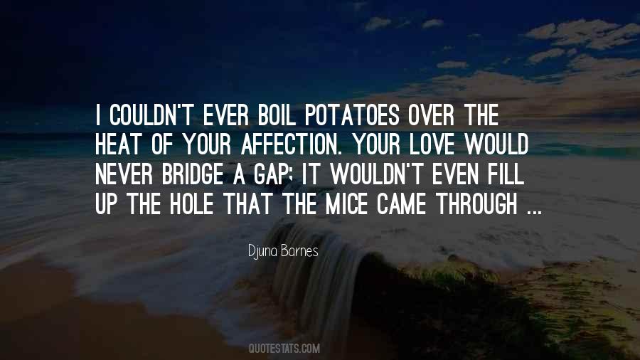 Bridge The Gap Quotes #1375417