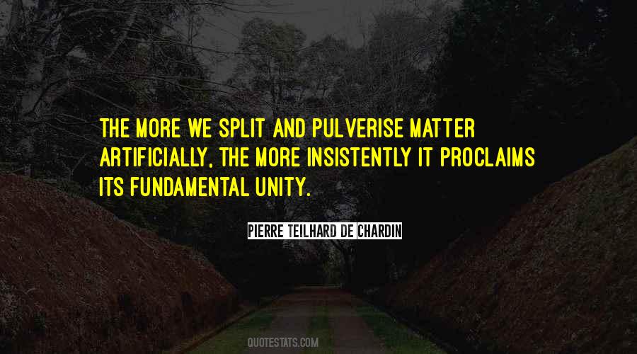 Pierre Teilhard Quotes #1067289