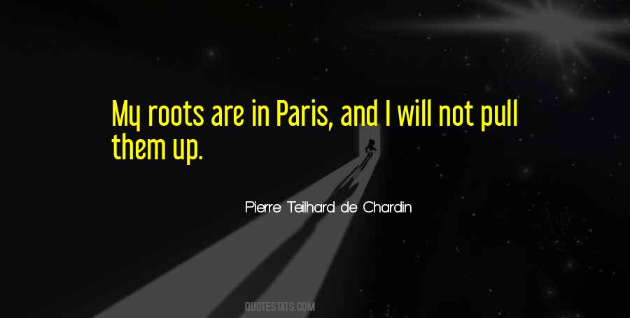 Pierre Teilhard Quotes #1075485