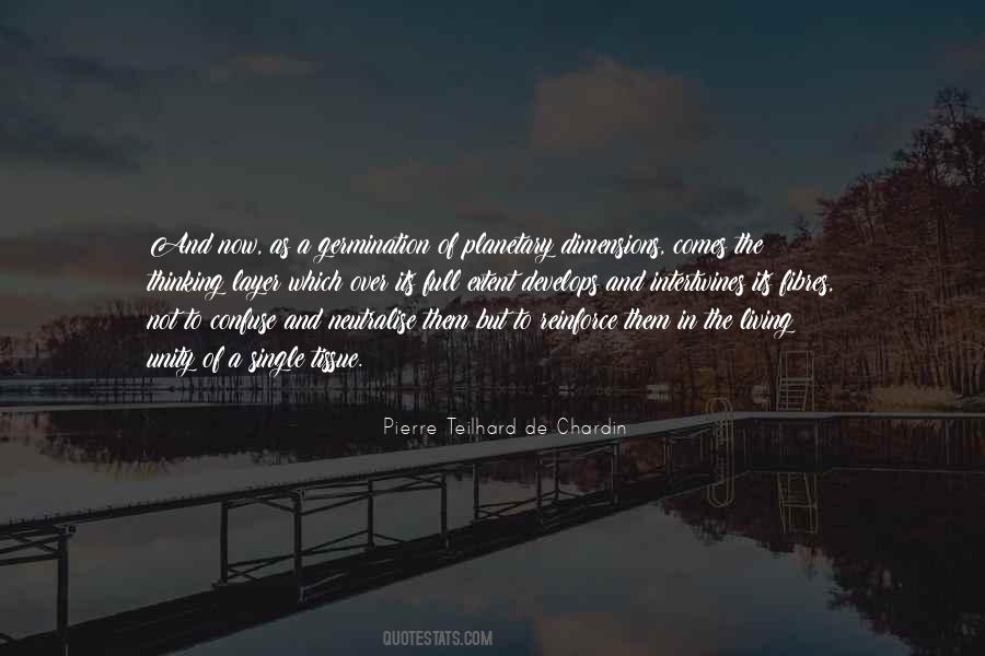 Pierre Teilhard Quotes #479096