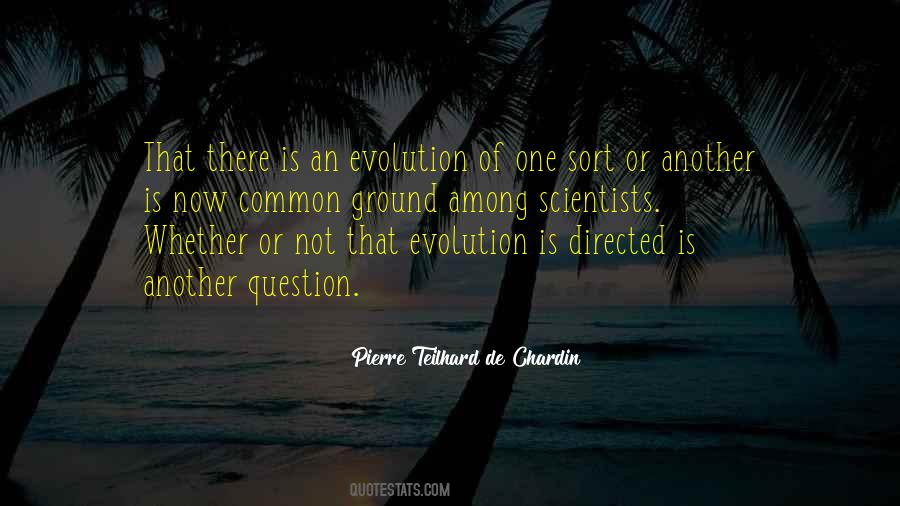 Pierre Teilhard Quotes #515761