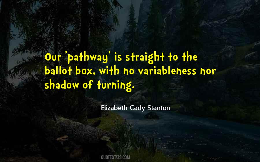 Elizabeth Cady Quotes #379460