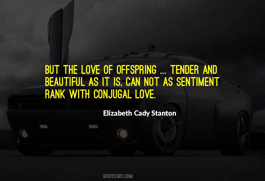 Elizabeth Cady Quotes #537446