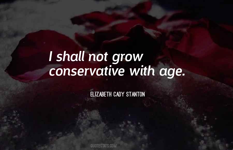 Elizabeth Cady Quotes #766961