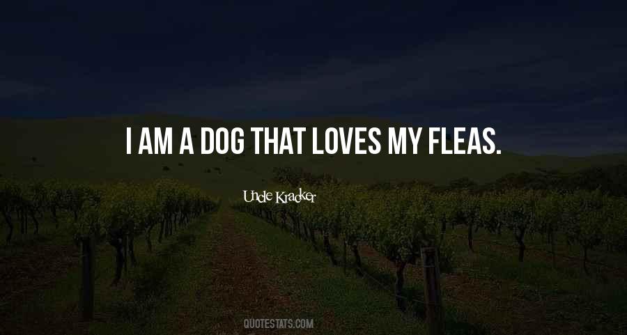 Quotes About Fleas #373193