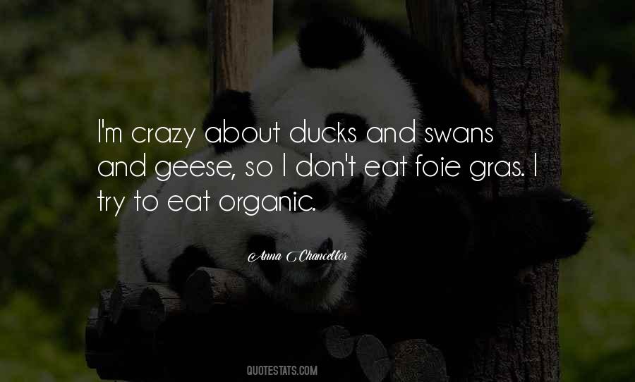 Quotes About Swans #1278101