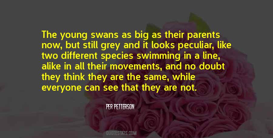 Quotes About Swans #193036