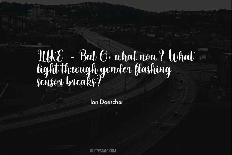 What Light Quotes #1402997