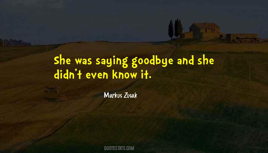 Quotes About Underappreciation #875530