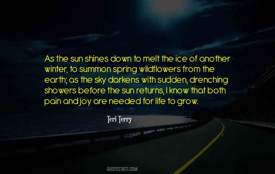 Winter Ice Quotes #995093