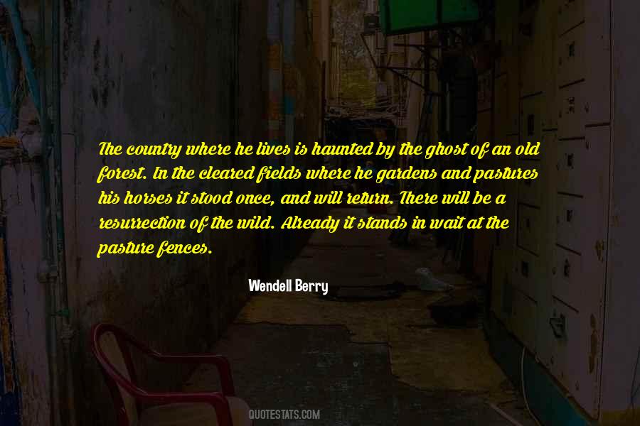 Quotes About Wild Horse #1084129