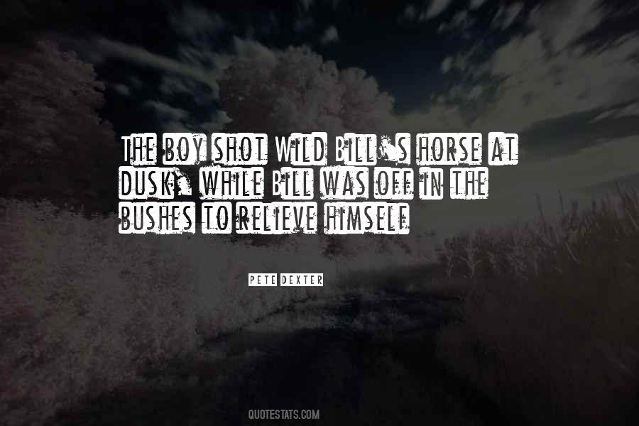 Quotes About Wild Horse #1143662