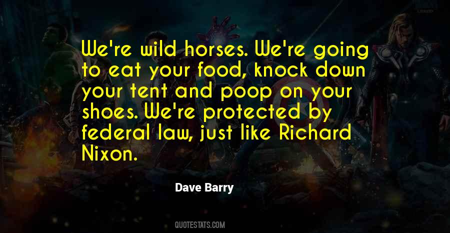 Quotes About Wild Horse #130567