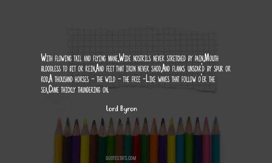 Quotes About Wild Horse #1333178