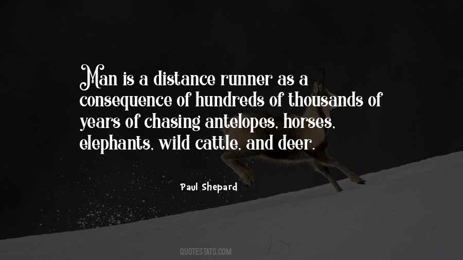 Quotes About Wild Horse #142536
