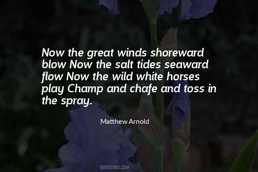 Quotes About Wild Horse #1678622