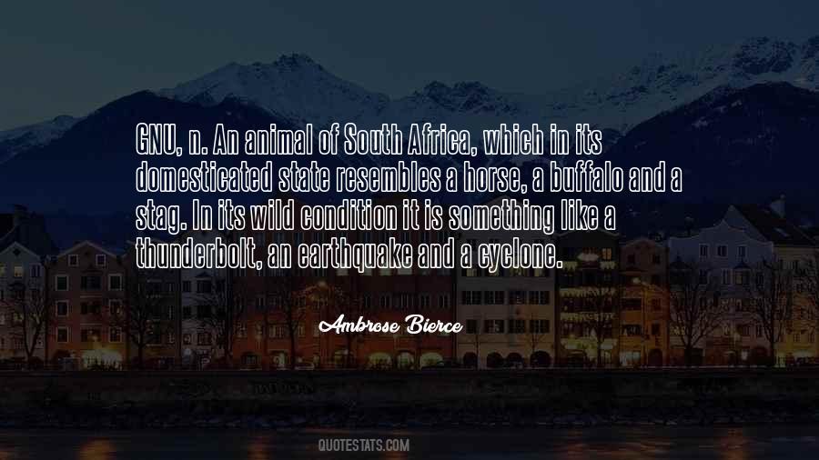 Quotes About Wild Horse #1807096
