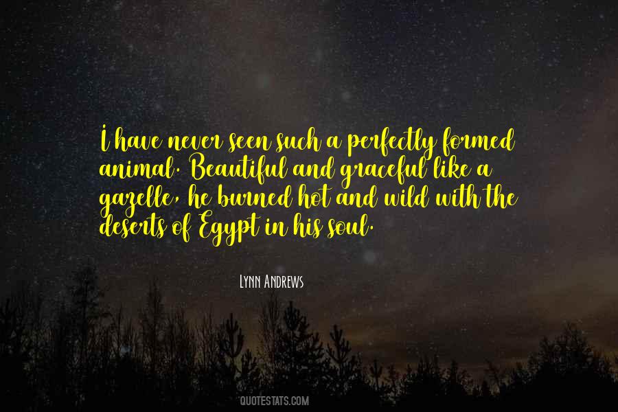 Quotes About Wild Horse #644557