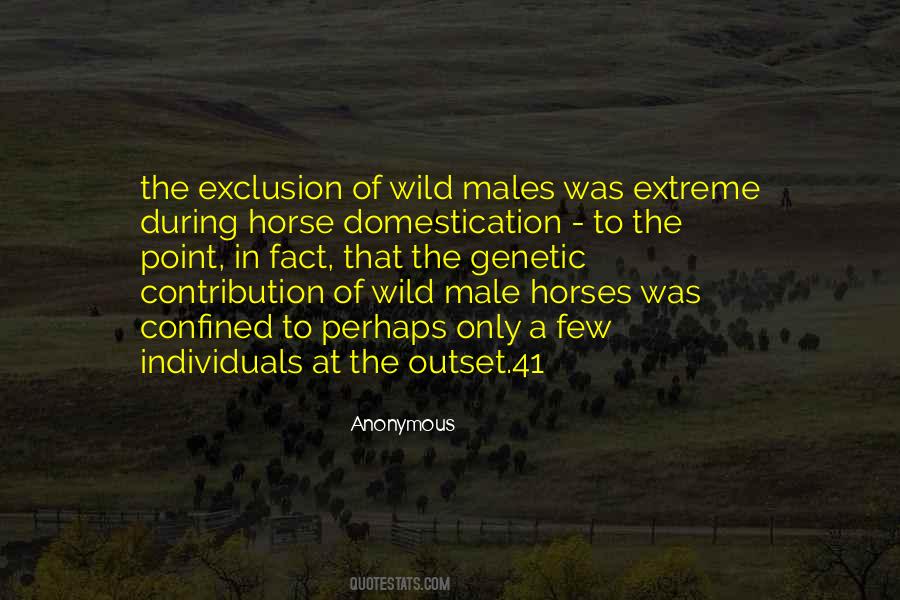 Quotes About Wild Horse #753531