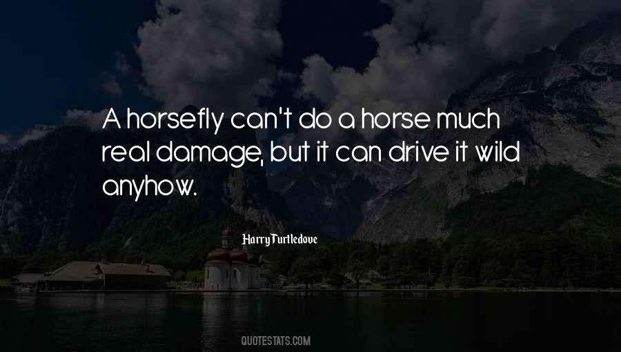 Quotes About Wild Horse #760460