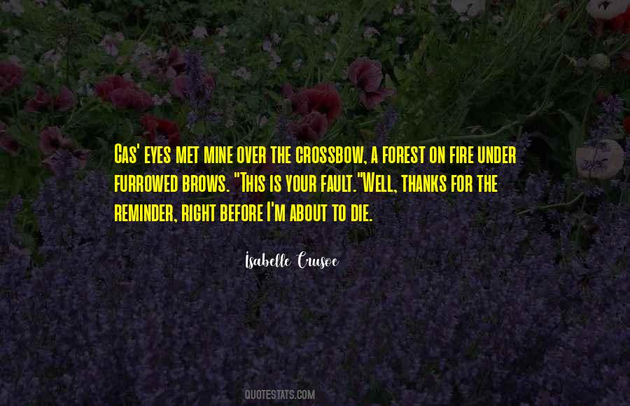 Quotes About Fire In Your Eyes #17796