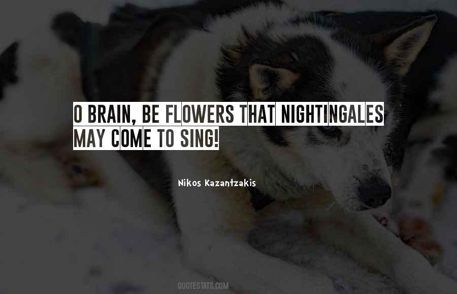 Quotes About Nightingales #764522