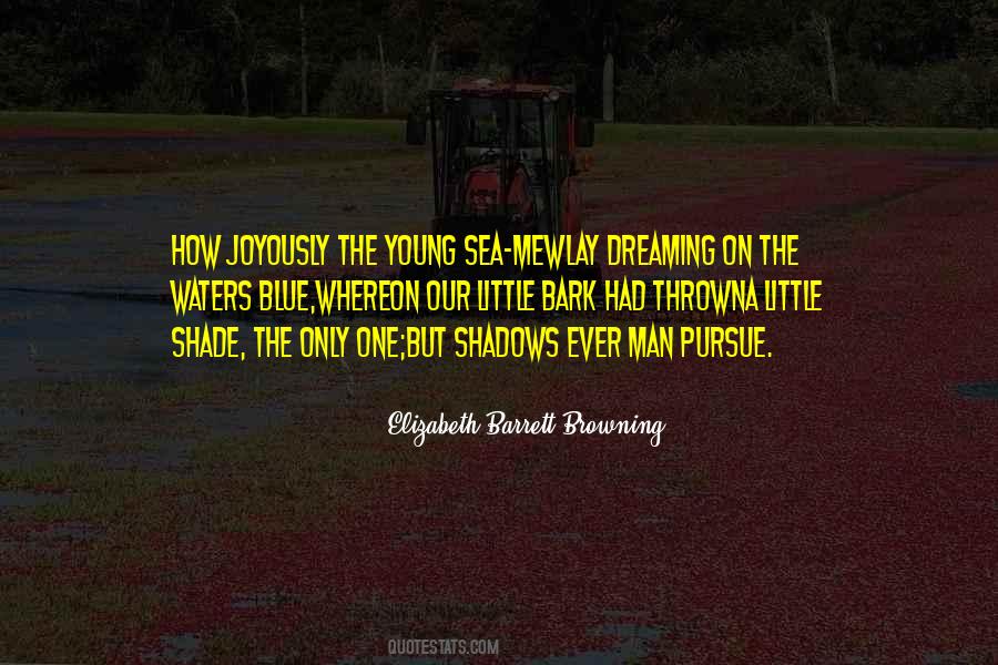 Men Dream Quotes #202846