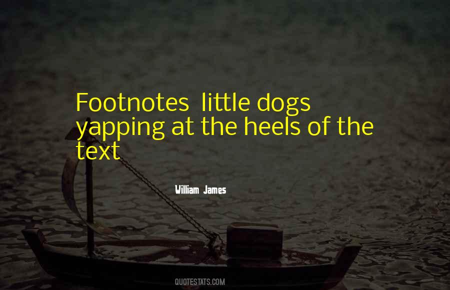 Quotes About Footnotes #1640457