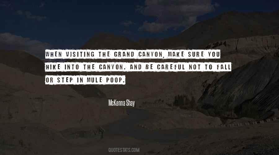 Quotes About Grand Canyon #928206