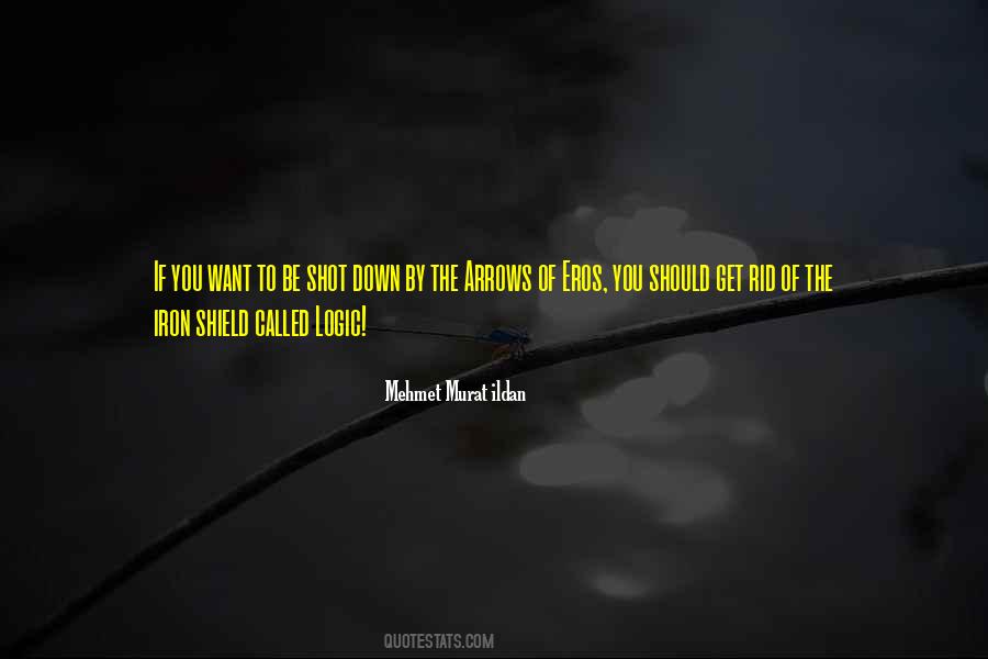 Iron Logic Quotes #20335
