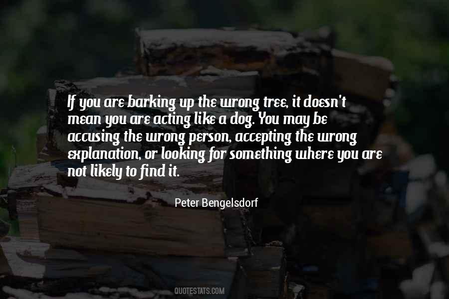 Quotes About Barking Up The Wrong Tree #835281