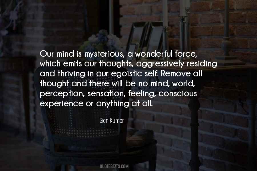 The Mind Is Mysterious Quotes #1781715