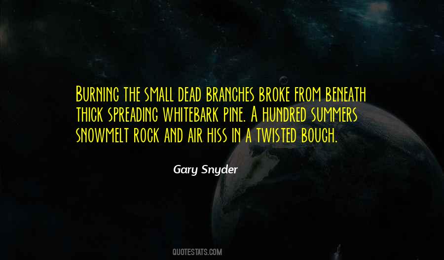 Summer Air Quotes #532807