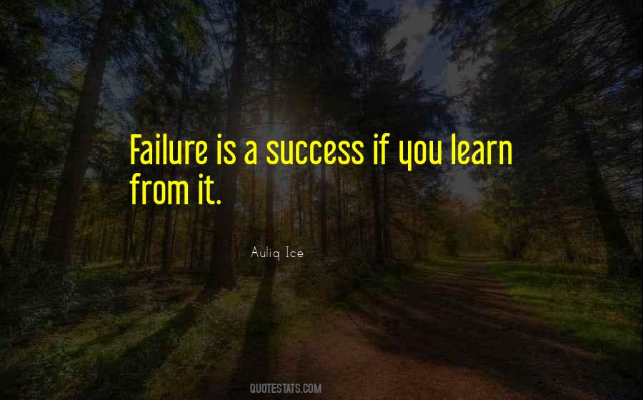 Learn From It Quotes #1359274