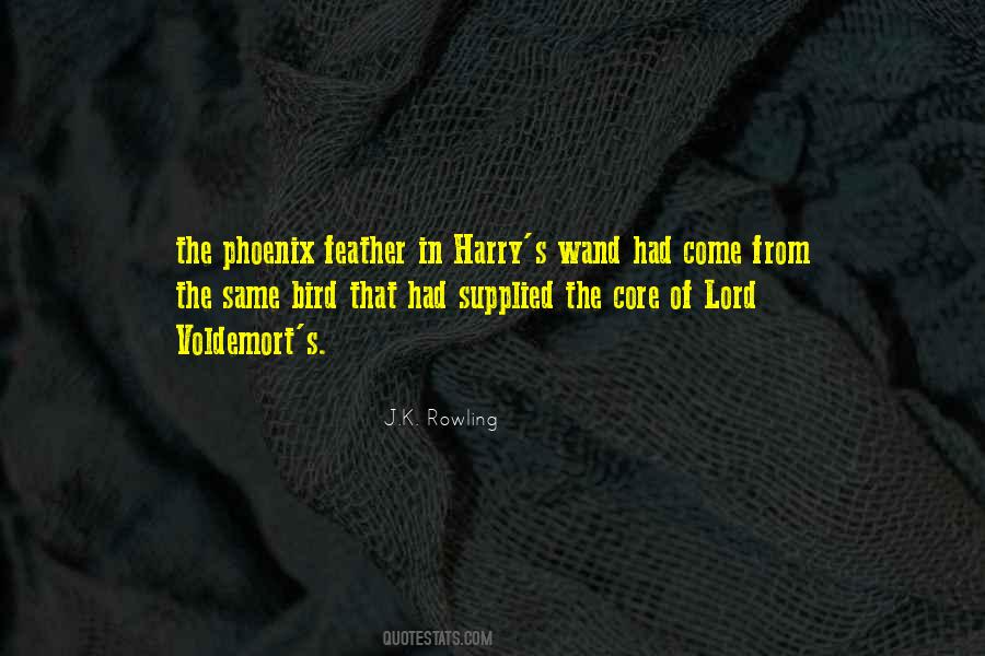 Quotes About Voldemort #822644