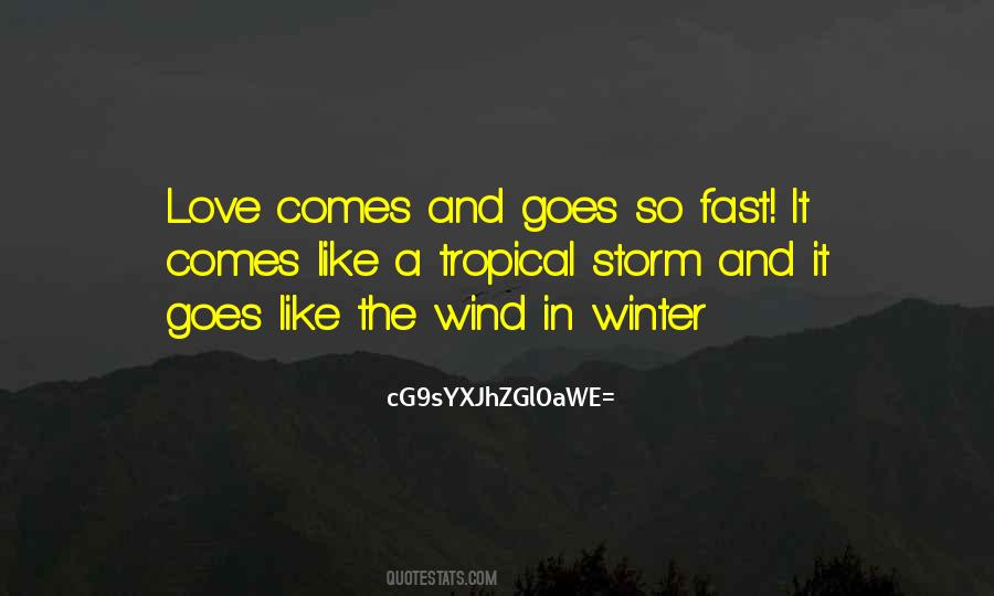 Winter Wind Quotes #312383