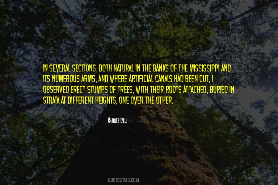 Quotes About Stumps #1077246