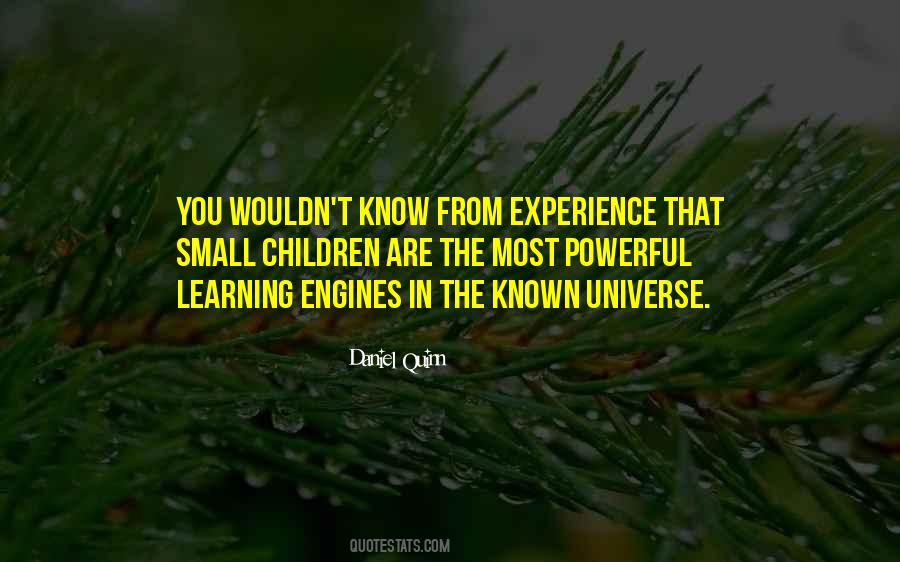 Quotes About Learning From Experience #806781